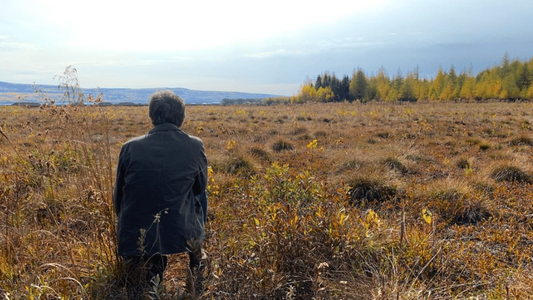 Good Dirt The Truth About Peat - Is It Sustainable? Good Dirt's Al Newsom sits on chair overlooking peat field.