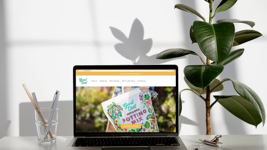 Laptop computer displaying the Good Dirt website. It sits on a white desk with a rubber tree plant in view.