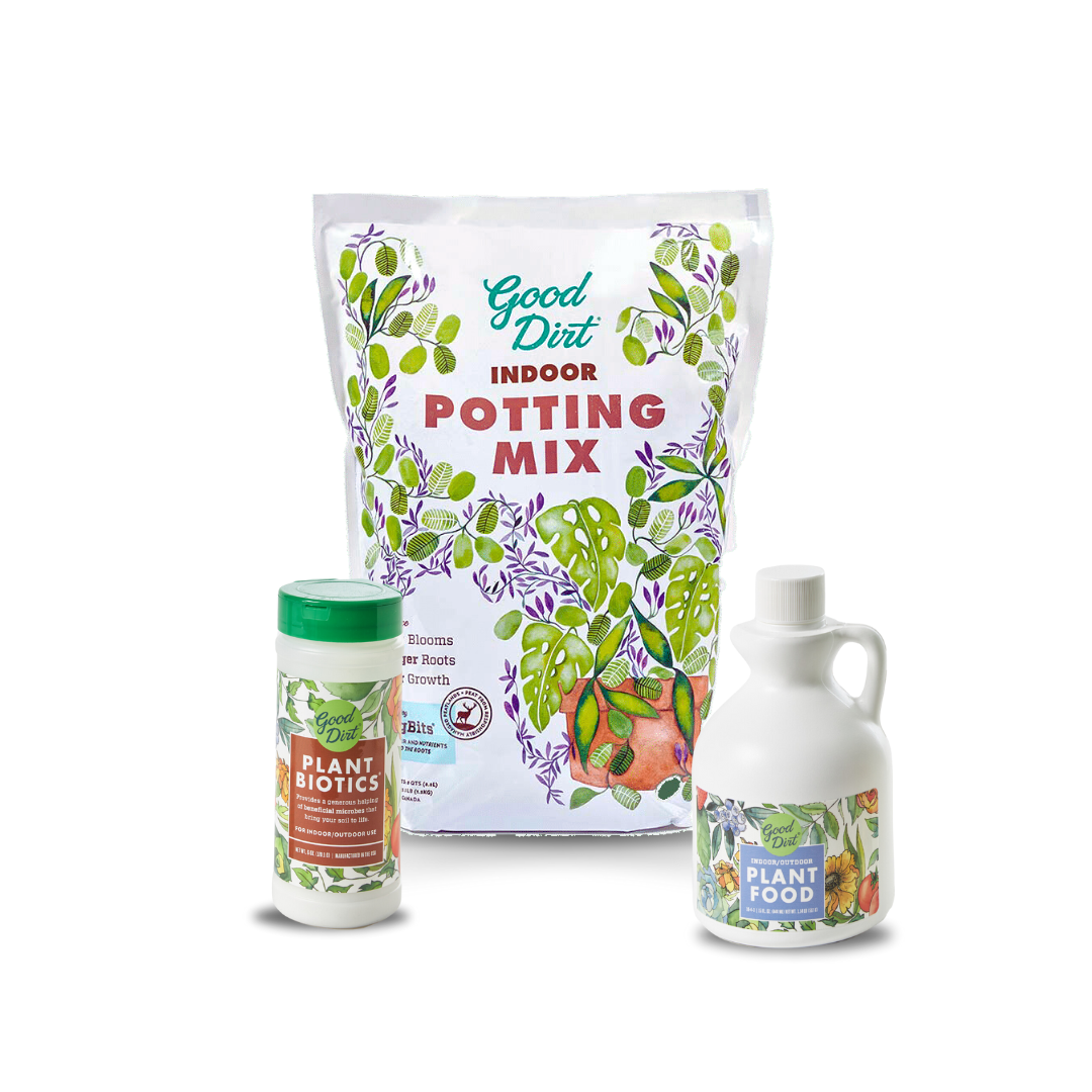 indoor plant starter kit Indoor Starter Kit
