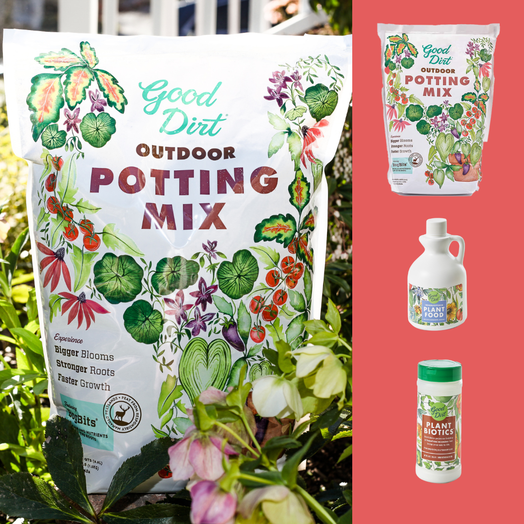 Outdoor Starter Kit- Plus Free Globee for a Limited Time