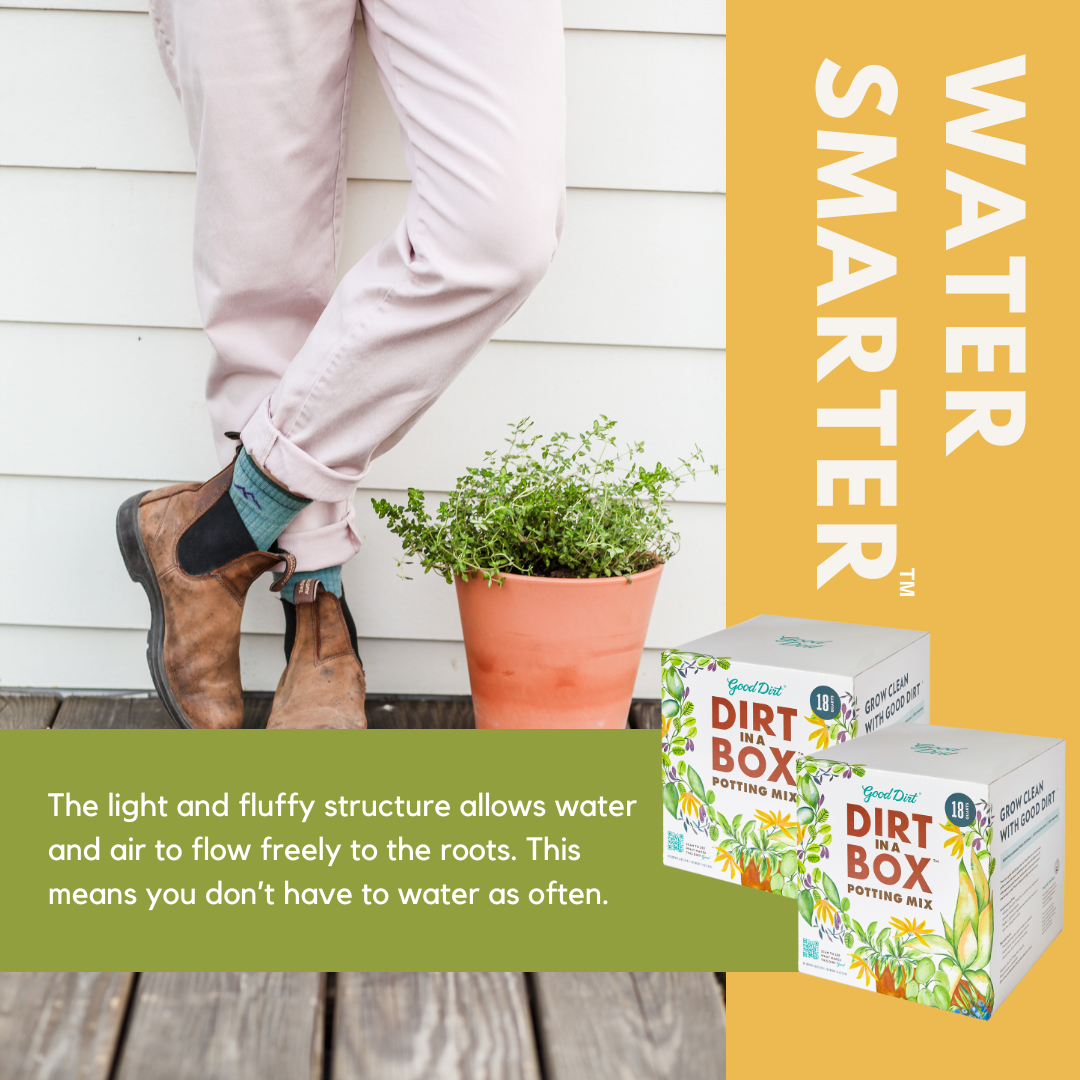 Legs standing next to potted plant on ground. Also featured is two boxes of Good Dirt, Dirt in a Box potting mix. Text reads Water Smarter. The light and fluffy structure allows water and air to flow freely to the roots. This means you don't have to water as often.
