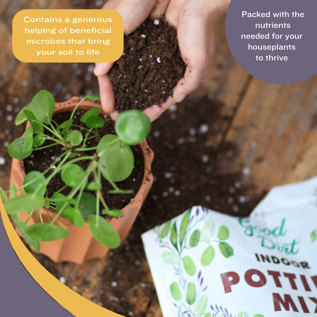 Good Dirt Indoor Potting Mix contains a generous helping of beneficial microbes that bring your soil to life. Packed with the nutrients needed for your houseplants to thrive.