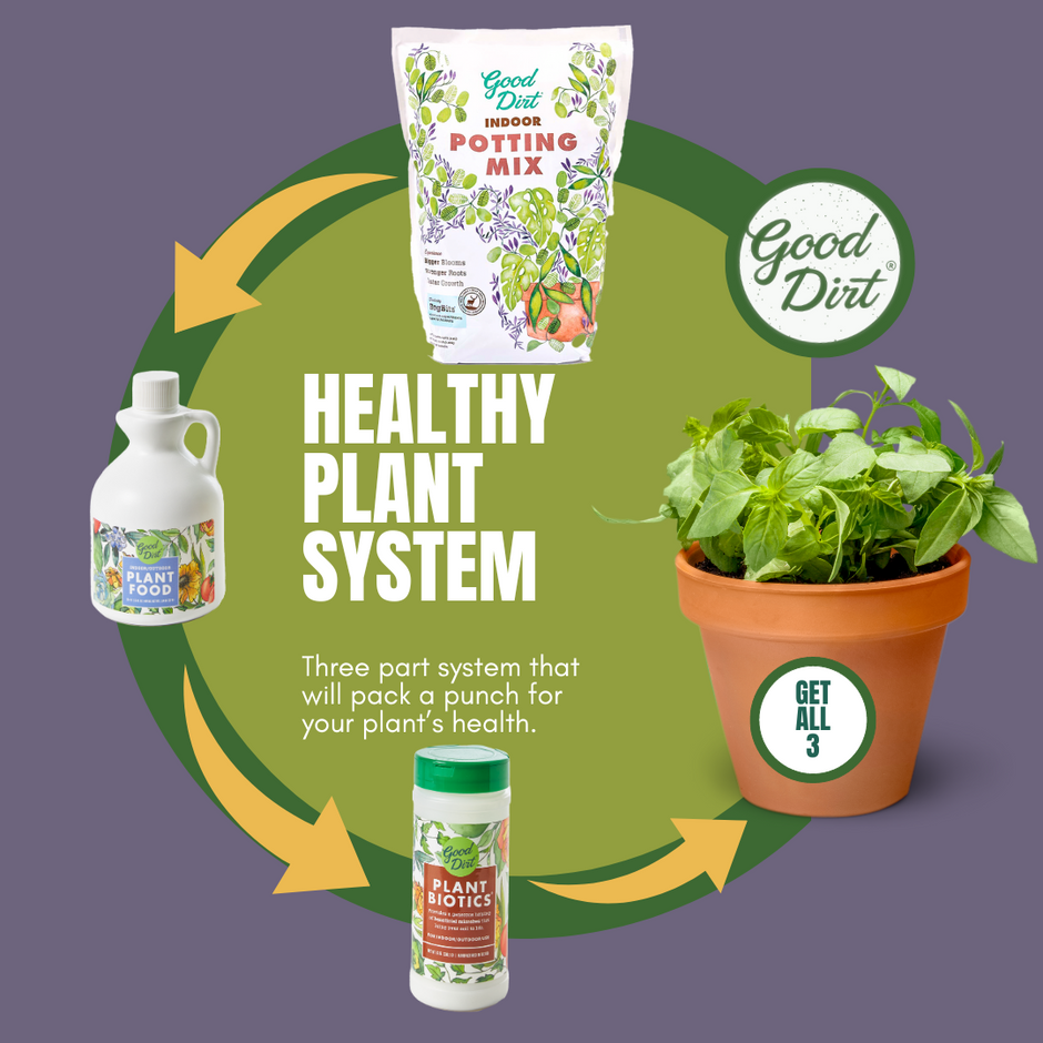 Sustainable, easy to use indoor & outdoor gardening products – Good Dirt