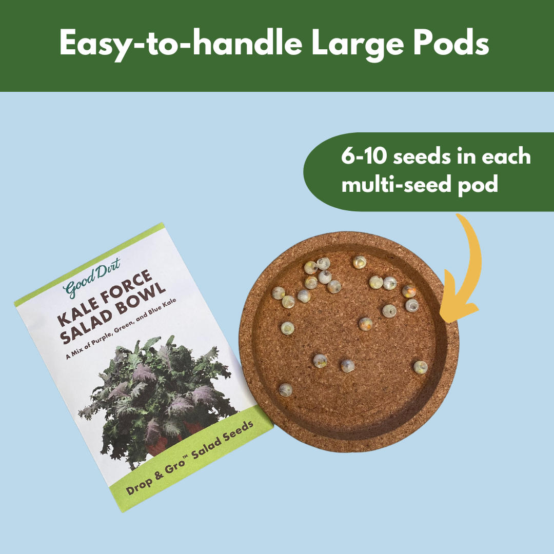 Good Dirt Kale Force Salad bowl Seed packet and seed pods displayed. Easy-to-handle large pods. 6 to 10 seeds in each multi-seed pod.