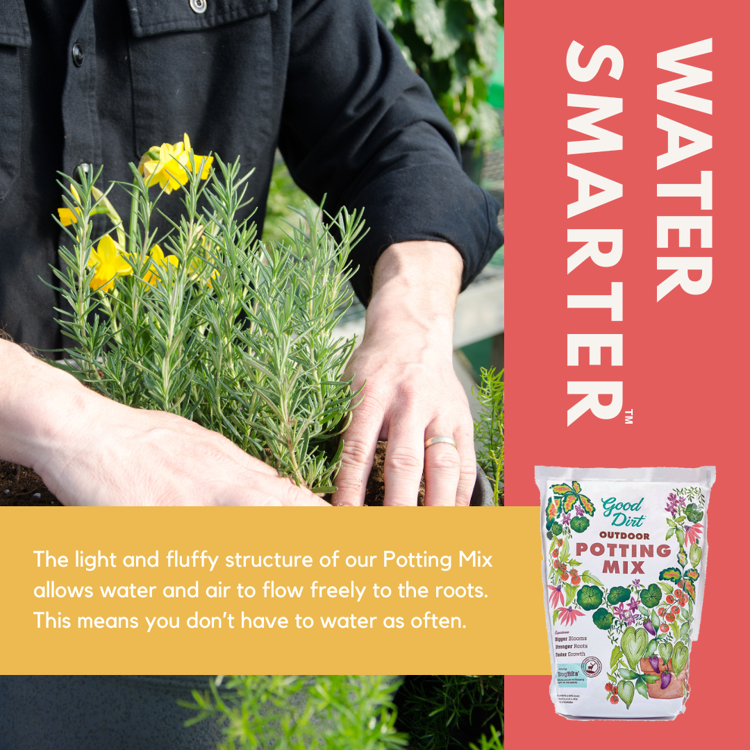 Water Smarter. The light and fluffy structure of our potting mix allows water and air to flow freely to the roots. This means you don't have to water as often.