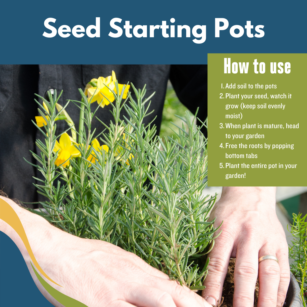 Hands planting a plant in Good Dirt. Text reads Seed Starting Pots. How to use. Step one add soil to the pots. Step two plant your seed, watch it grow. Keep soil evenly moist. Step three when plant is mature, head to your garden. Step four free the roots by popping bottom tabs. Step five plant the entire pot in your garden.