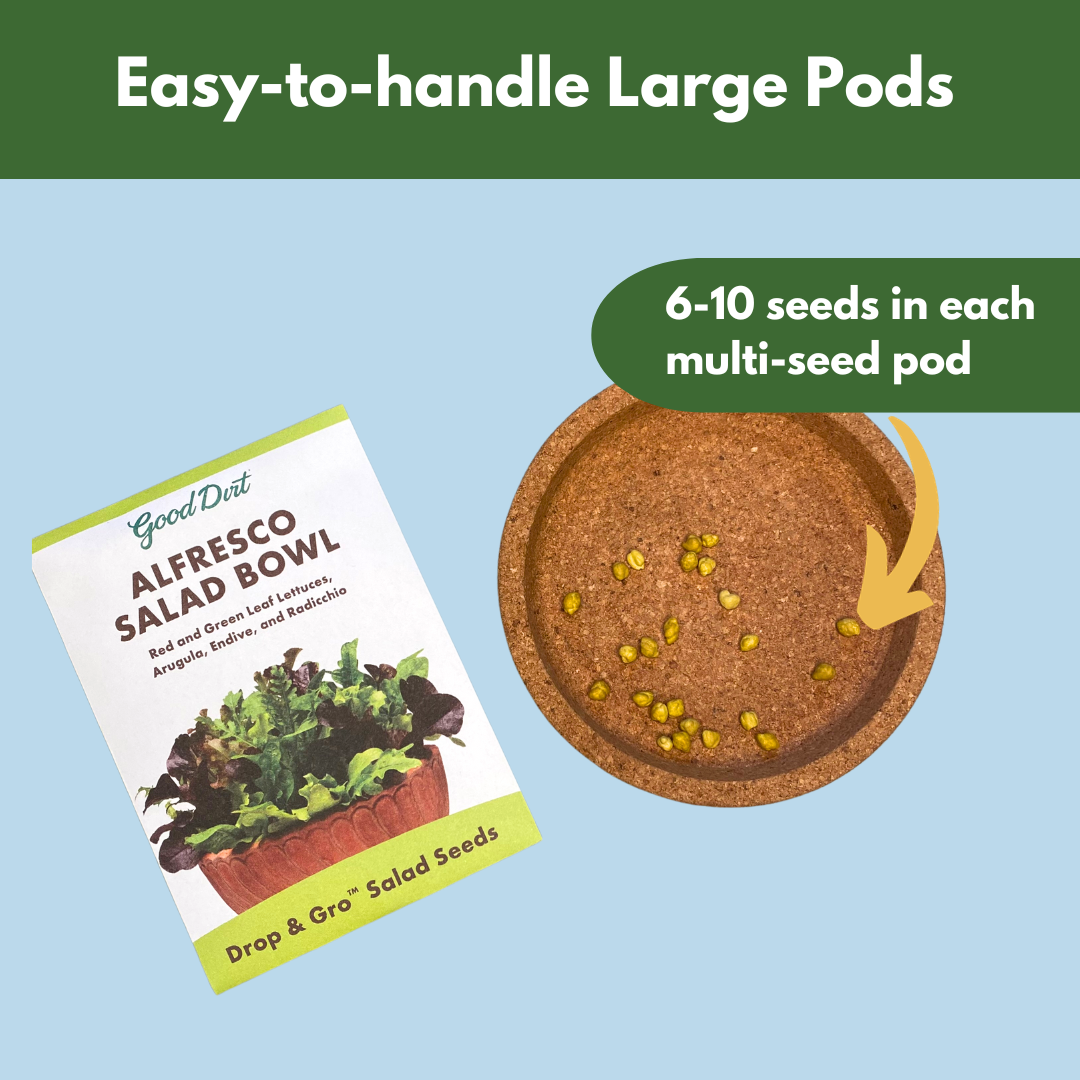 Seed packet and seed pods displayed. Easy-to-handle large pods. 6 to 10 seeds in each multi-seed pod.