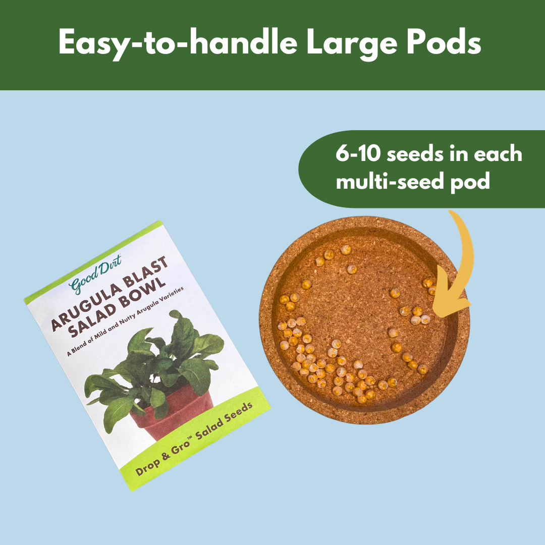 Arugula Blast salad bowl Seed packet and seed pods displayed. Easy-to-handle large pods. 6 to 10 seeds in each multi-seed pod.