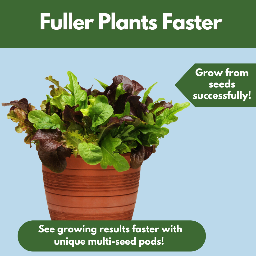 Good Dirt City Life Salad Bowl. Fuller plants faster. Grow from seeds successfully. See growing results faster with unique multi-seed pods.