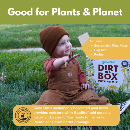 Dirt In a Box Potting Mix package on a grass lawn. A toddler wearing overalls plays in the dirt inside the open box. Healthy Plants need Good Dirt.