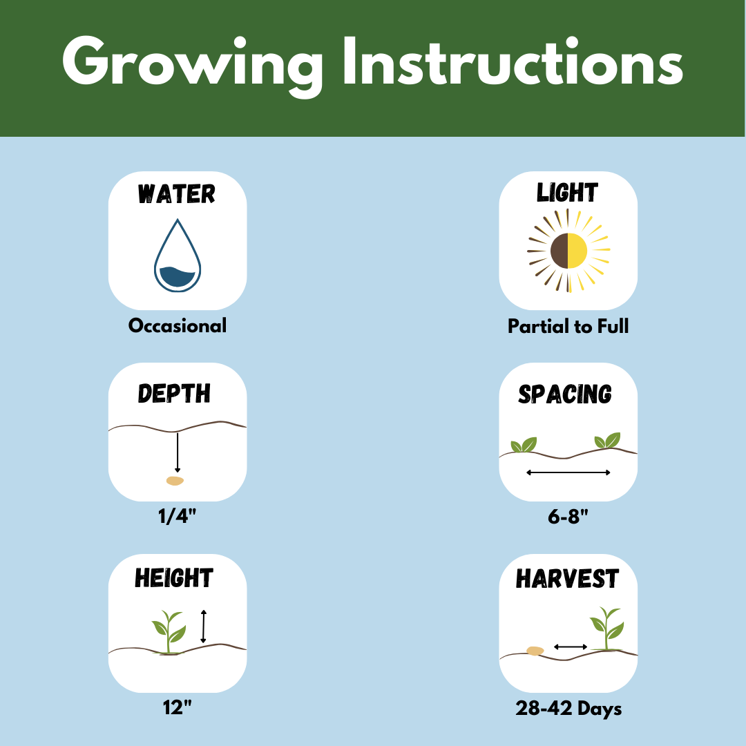 Growing instructions. Water occasionally. Light: partial to full.  Depth: one quarter inch. Spacing: 6 to 8 inches apart. Height 12 inches. Harvest 28 to 42 days.