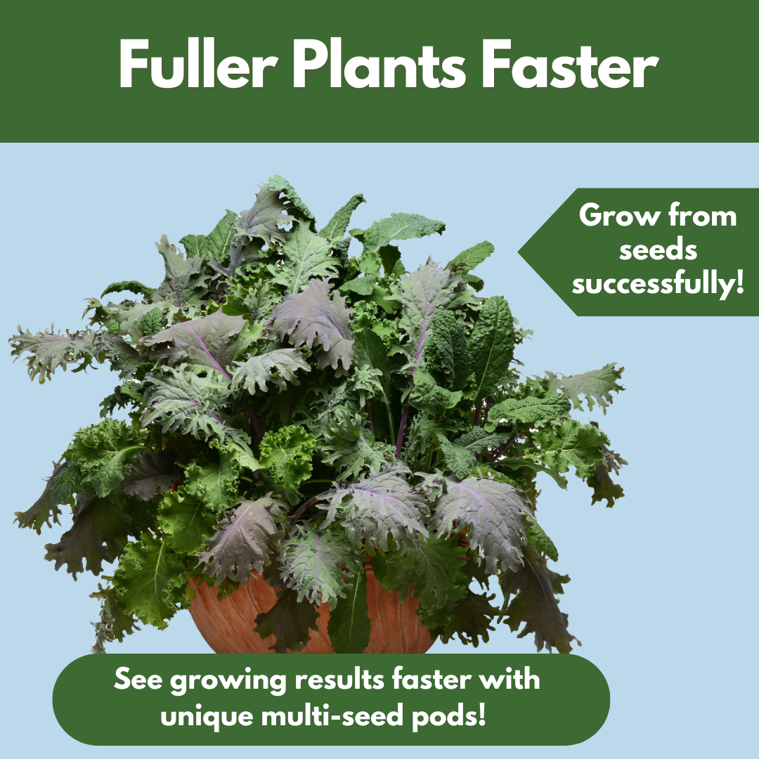 Good Dirt Kale Force salad bowl. Fuller plants faster. Grow from seeds successfully. See growing results faster with unique multi-seed pods.