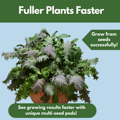 kale seed planting depth Kale Force Salad Bowl DROP & GRO™