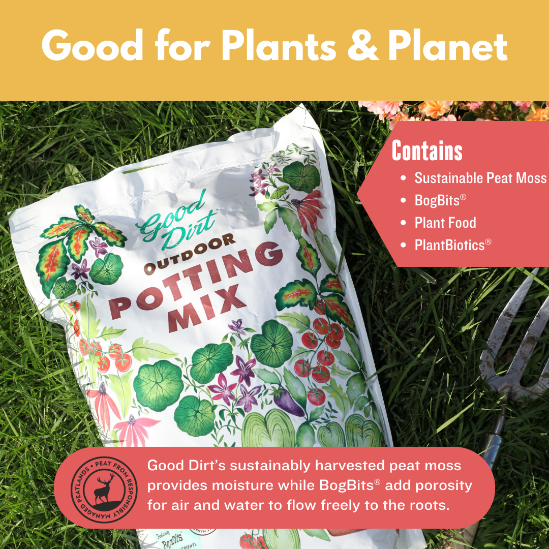 peat moss based potting mix Outdoor Potting Mix