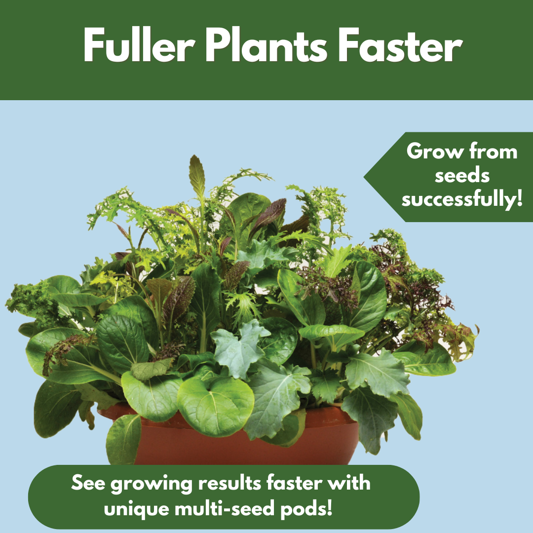 Good Dirt Pacific Rim salad bowl. Fuller plants faster. Grow from seeds successfully. See growing results faster with unique multi-seed pods.