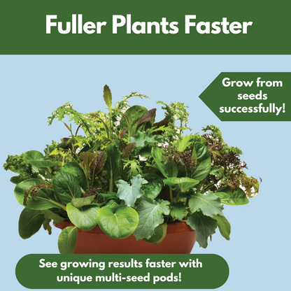 Good Dirt Pacific Rim salad bowl. Fuller plants faster. Grow from seeds successfully. See growing results faster with unique multi-seed pods.