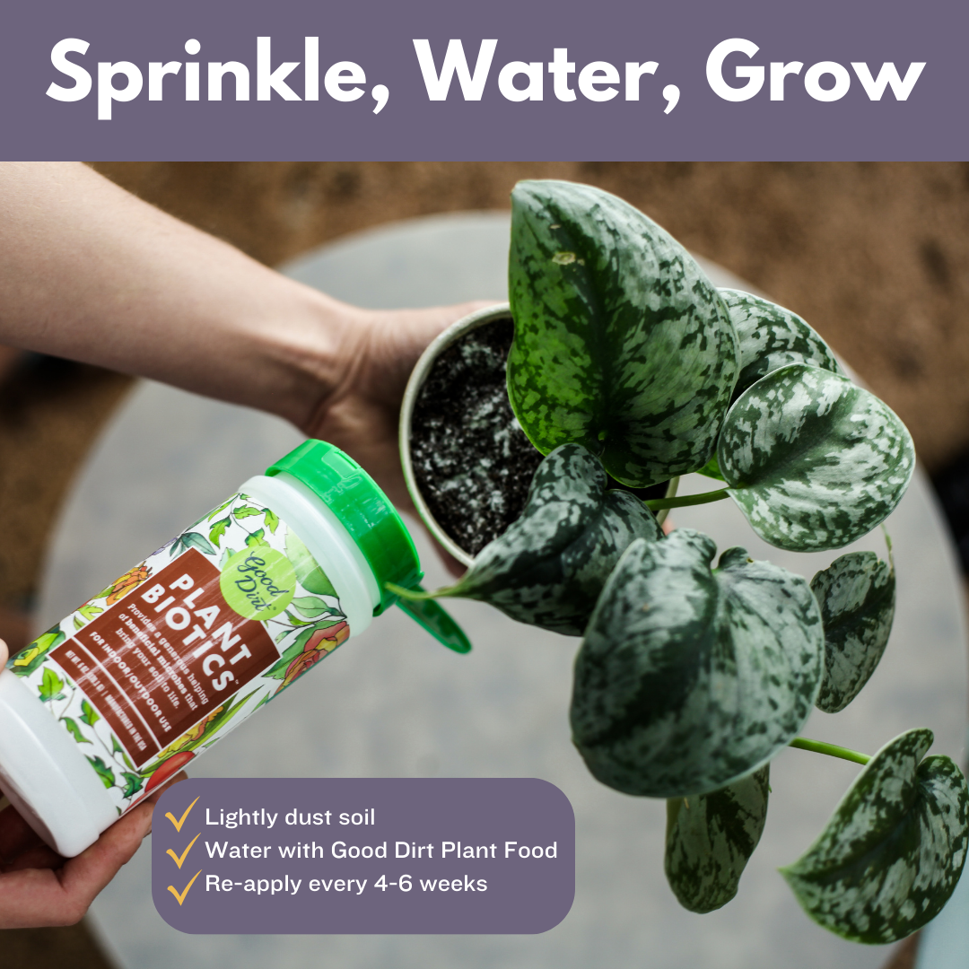 Good Dirt Plant Biotics bring sprinkled into a potted plant. Sprinkle, water, grow. Lightly dust soil. Water with Good Dirt Plant Food. Re-apply every 4 to 6 weeks.
