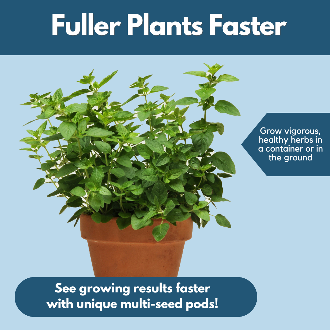 seed planting pods Happy Thyme DROP & GRO Herb Seed Pods
